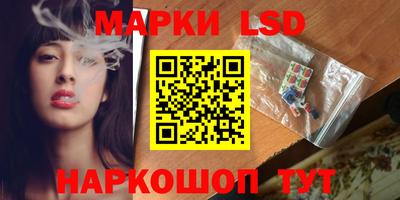 ALPHA PVP Бердск