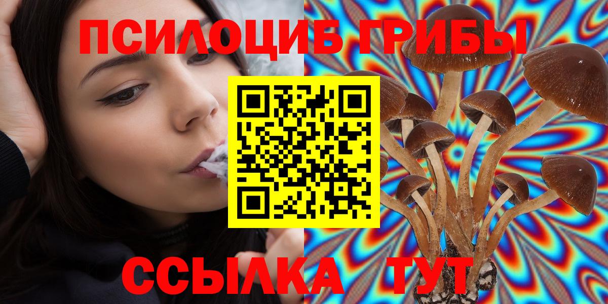 Бугуруслан  Галлюциногенные грибы Cubensis  Вход с VPN 