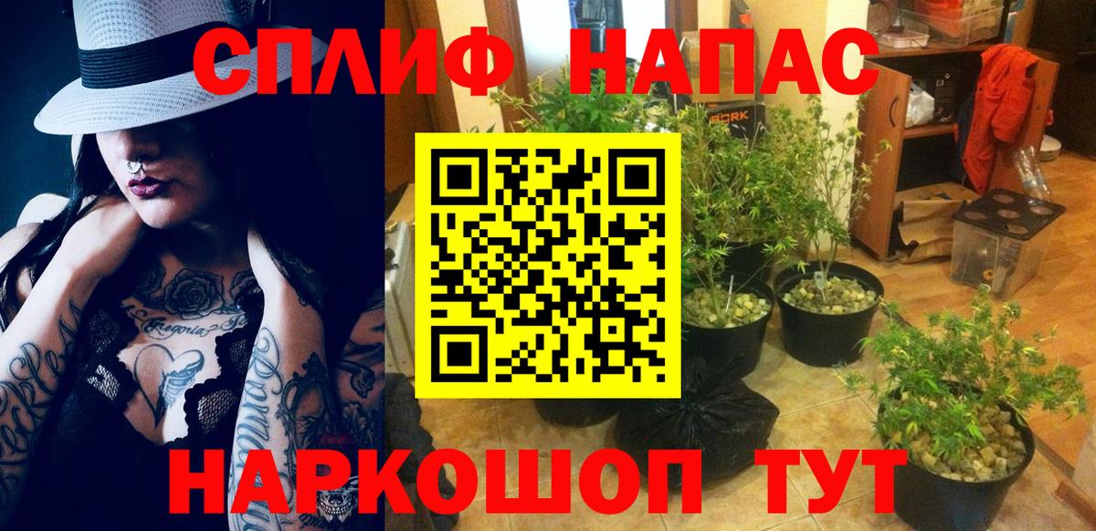 Каннабис MAZAR Бугуруслан